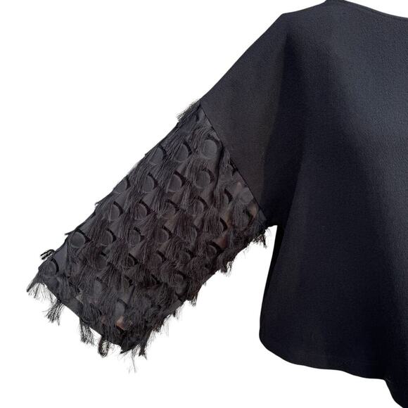 Black Cropped Top Sexy Fringe Party Small EUC H&M - Picture 5 of 9